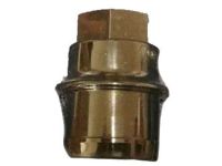 GM 9598895 Wheel Nut Cap, Black