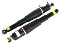 GM 23487280 Shock Absorber, Rear