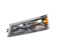 GM 19418419 Parking/Turn Lamp, Driver Side GM 19418419 Parking/Turn Lamp, Driver Side