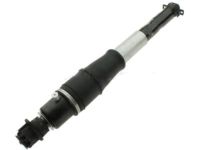 GM 19300026 Shock Absorber, Rear Passenger Side