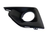 GM 23234810 Fog Lamp Bezel, Front Driver Side