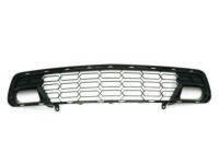 GM 23507619 Grille Assembly, Front Lower, Carbon GM 23507619 Grille Assembly, Front Lower, Carbon