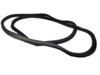 GM 22637654 Weatherstrip, Rear