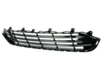 GM 23196302 Lower Grille, Black