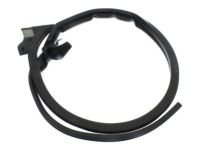 GMC Weather Strip - 15298668 Weatherstrip, Passenger Side