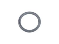 GM 25904093 Reservoir Cap Seal GM 25904093 Reservoir Cap Seal
