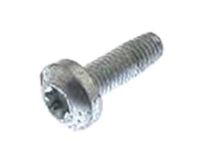GM 11609992 Center Belt Assembly Screw, Front