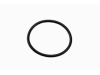 GM 15839527 Seal, Differential Locking, Rear GM 15839527 Seal, Differential Locking, Rear