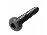 GM 11610271 Holder Screw