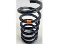GM 22808430 Coil Spring, Rear