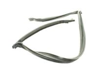 GM 84367842 Weatherstrip GM 84367842 Weatherstrip