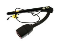 GM 19181644 Buckle, Front Driver Side