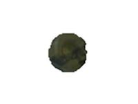 GM 11546377 Compressor Nut