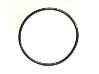 GM 12561155 Thermostat Gasket