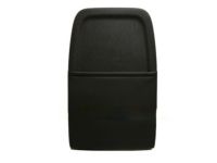 GM 20926207 Seat Back Panel