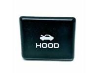 GM 22974030 Bezel, Black