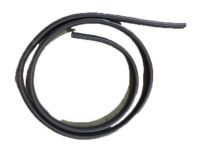 GM 15169859 Weatherstrip, Bottom Top
