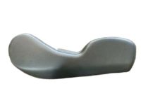 GM 12534456 Side Cover, Passenger Side