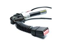 GM 19299532 Tensioner, Black, Driver Side