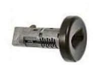 GM 19207991 Ignition Lock Cylinder