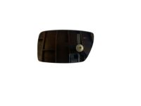 GM 84077035 Mirror Glass, Rear Passenger Side
