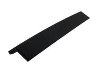 GM 23377432 Applique, Front Driver Side