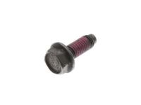 GM 12471307 Cover Bolt, Passenger Side