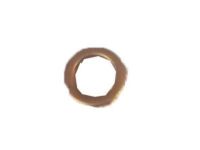 GM 94525077 Brake Hose Washer