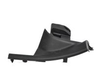 GM 84243020 Rear Sill Plate, Black, Driver Side