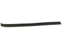GM 14027775 Glass Seal, Driver Side