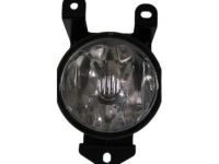 GM 16531085 Fog Lamp Assembly, Driver Side