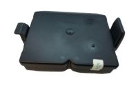 GM 20837967 Control Module, Rear