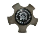 GM 90538077 Center Cap