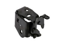 GM 20982042 Lower Hinge, Front Driver Side