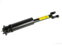 GM 25770612 Shock Absorber, Rear Upper