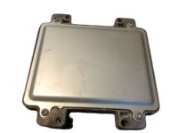 GM 12600928 Module, Emission Control System