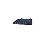 GM 25649510 Grille, Driver Side