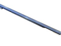 GM 23227744 Belt Weatherstrip, Rear Driver Side GM 23227744 Belt Weatherstrip, Rear Driver Side