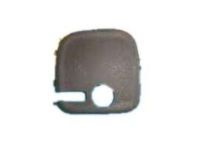 GM 25748786 Handle Bezel, Driver Side