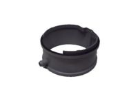 GM 10179214 Extension