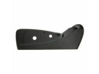 GM 84233192 Outer Finish Panel, Black, Front