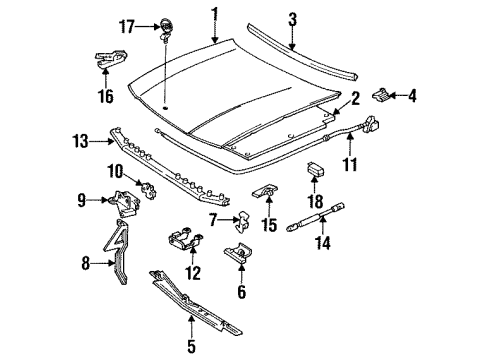 1994 Buick Roadmaster Hood & Components Diagram