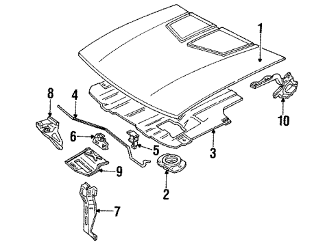 1994 Chevy Cavalier Hood & Components Diagram