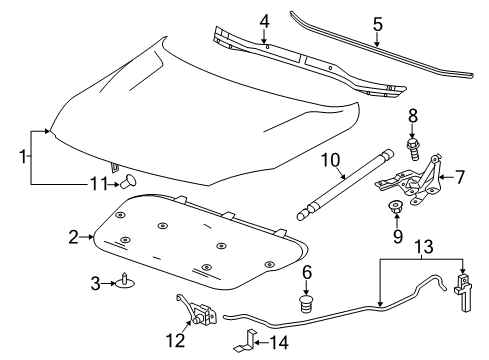 2014 Chevy Malibu Hood & Components Diagram