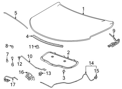 2023 Chevy Trailblazer Hood & Components Diagram