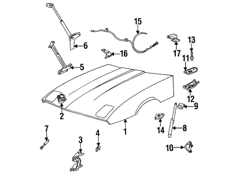 1989 Chevy Corvette Hood & Components Diagram