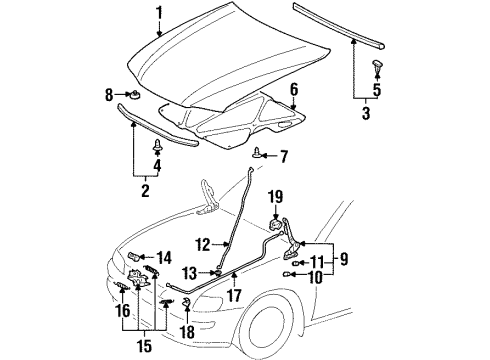 2000 Chevy Prizm Hood & Components Diagram