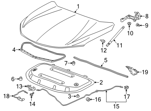 2021 Chevy Blazer Hood & Components Diagram