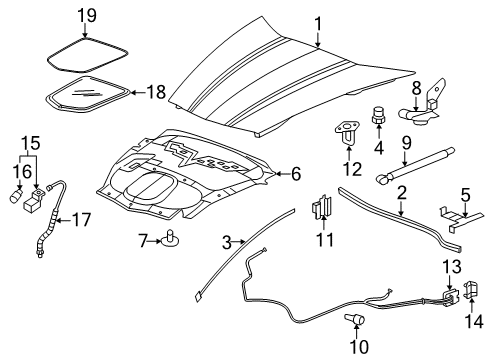 2011 Chevy Corvette Hood & Components Diagram