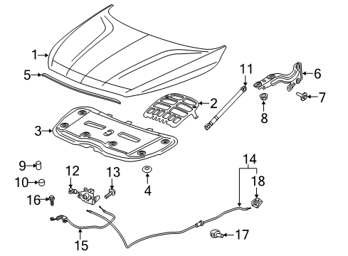 2018 Buick Enclave Hood & Components Diagram
